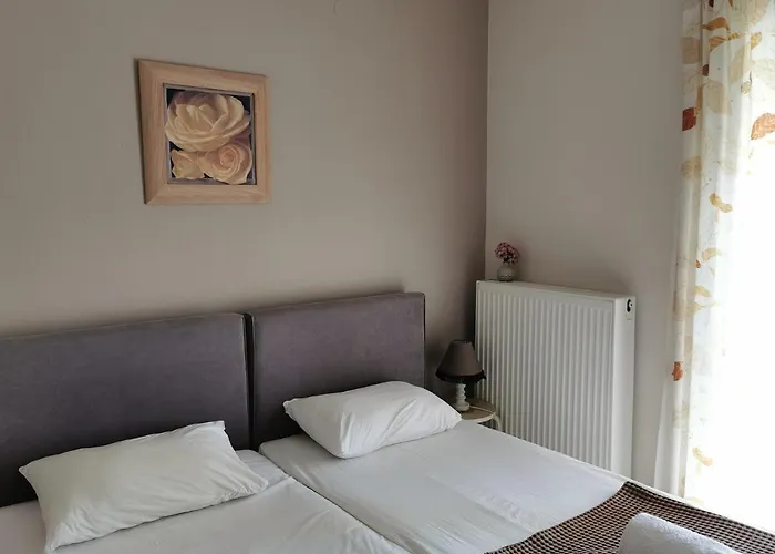 Palio Armonia Casa rural PalaiónTsiflíkion